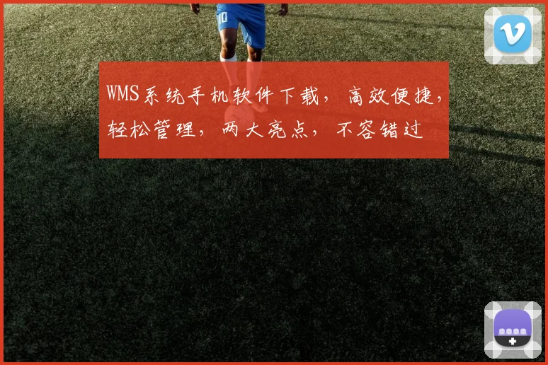 WMS系统手机软件下载，高效便捷，轻松管理，两大亮点，不容错过